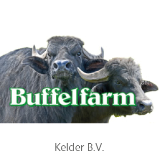 Buffelfarm